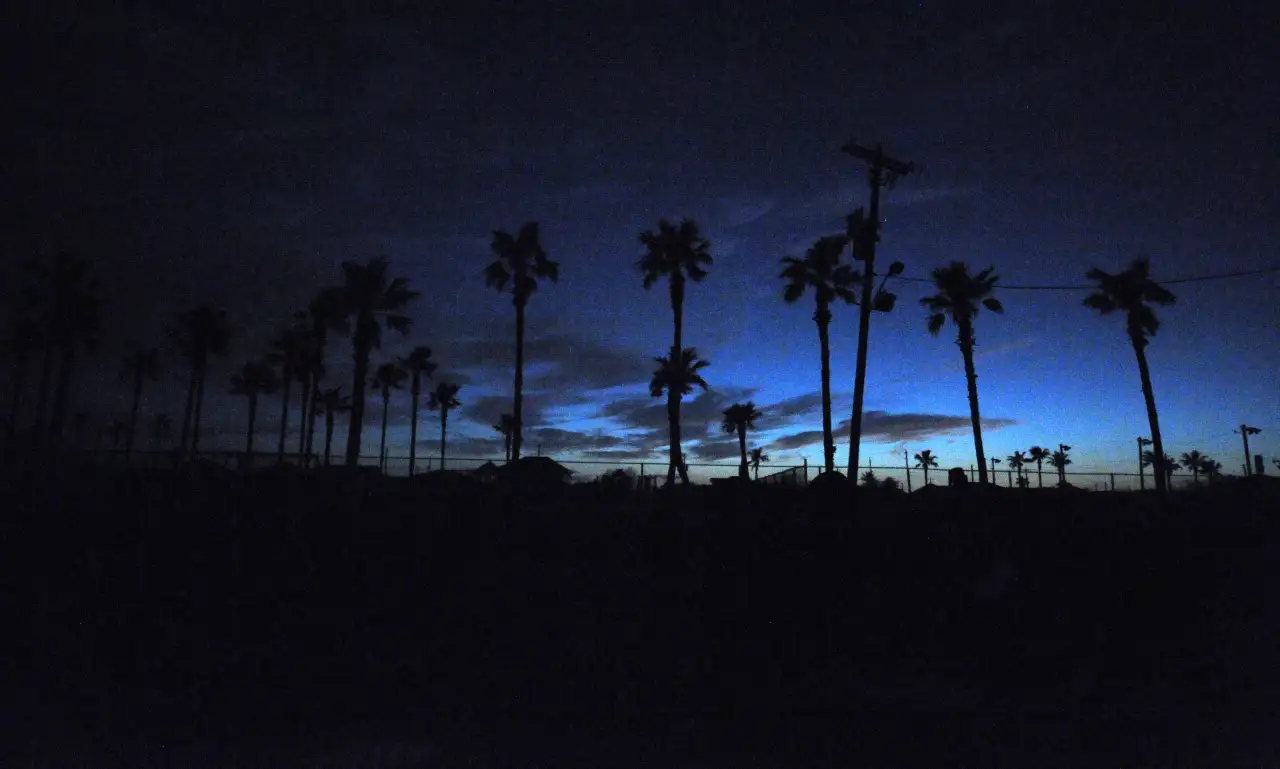 Galveston Island at dusk with no lights on: palm trees and power poles in silhouette against a dark blue sky.